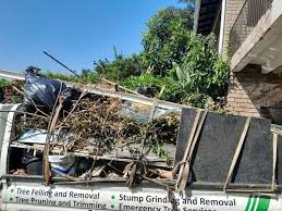 Best Estate Cleanout  in Blanding, UT